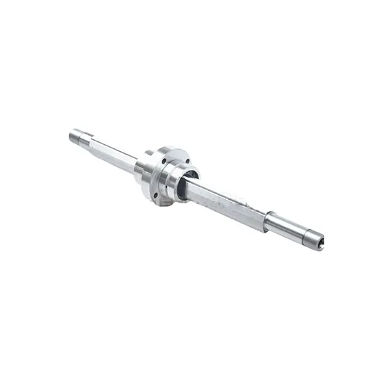 Rssy Rotary Series Ball Screw Rssy1616 Rssy2020 Rssy2525 Ball Spline for Robot 