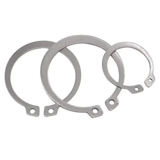 DIN471 SS304 Retaining Washer for Shafts Retaining Ring Circlips 