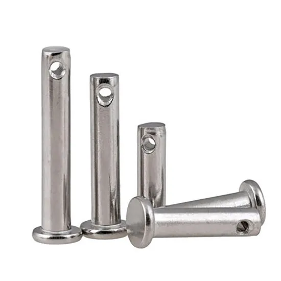 All Size DIN1444/ISO2341/GB882 Stainless Steel 304 Clevis Pins with Head 