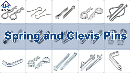 Stainless Steel ISO2341 DIN1444 ANSI Clevis Pins with Hole Circlip Pivot Pin 
